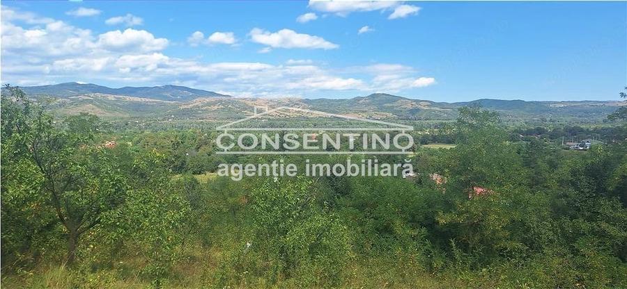 Casă cu Teren 3167 Mp în Măgura