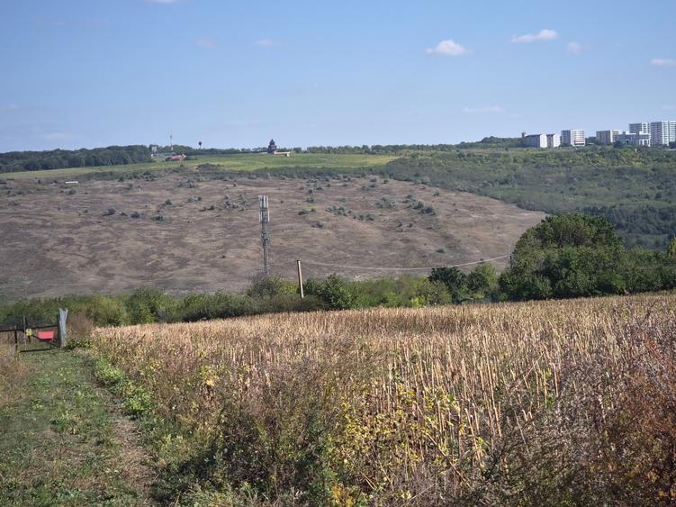 Teren Construcții intravilan de 490 mp, în Păcurari