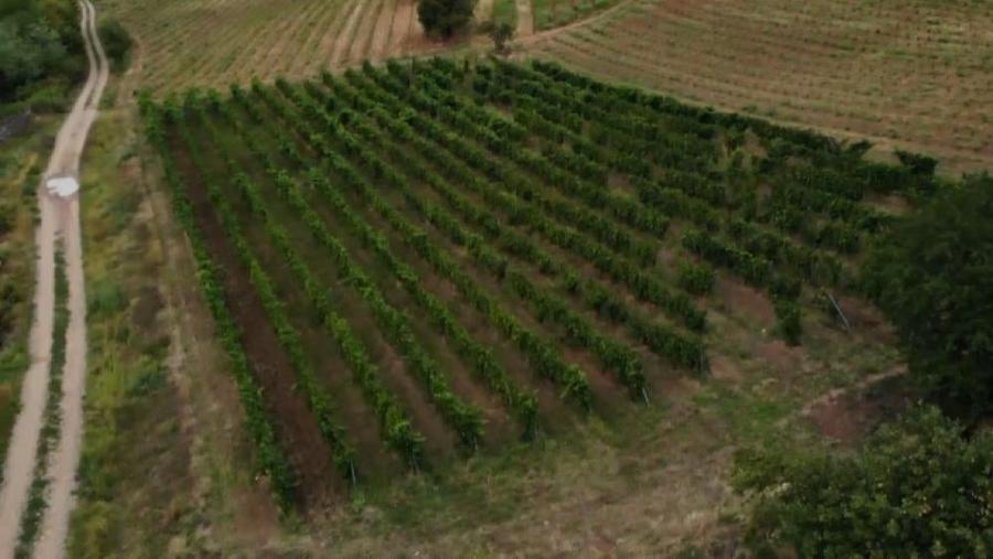 Teren intravilan de 1000 mp, în Est