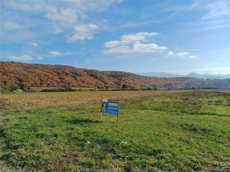 Teren Construcții intravilan de 10000 mp, în Exterior Sud