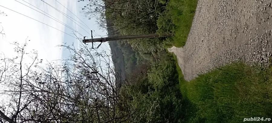 Teren în Gușoeni