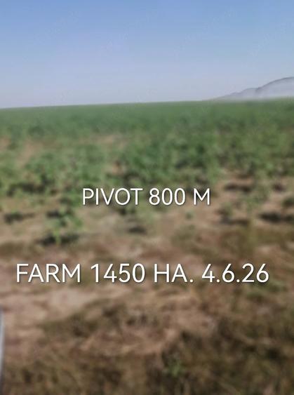 Teren de 14500000 mp, în Pescari