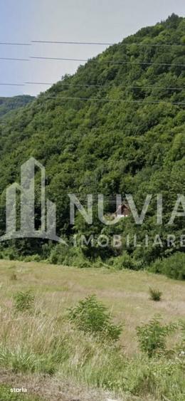 Teren de 1765 mp, în Jidvei