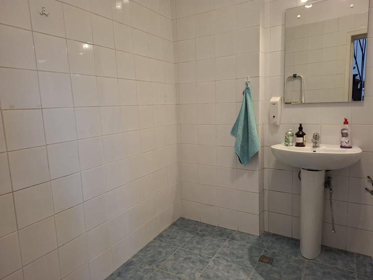 Casă individuală cu 8 camere cu Canalizare în Dacia