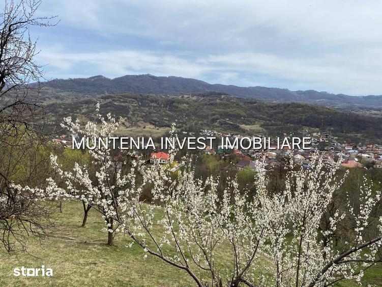 Teren de 2765 mp, în Albota