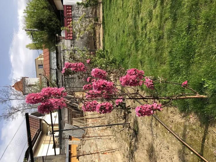 Casă cu 5 camere cu Teren 357 Mp în Central