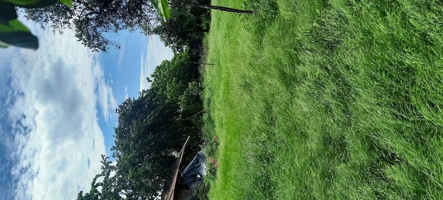 Casa de vanzare in orasul Ramnicu Sarat, Judet Buzau - 2