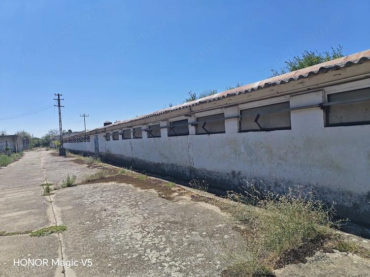 Spațiu comercial, de 7,950 mp, în Orțișoara
