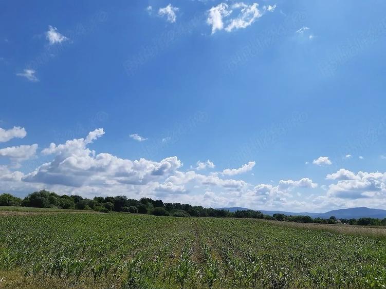 Teren de 20300 mp, în Lunca Calnicului