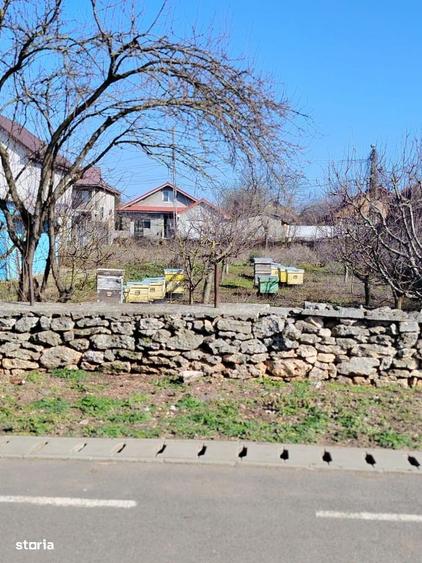 Teren de 1000 mp, în Limanu
