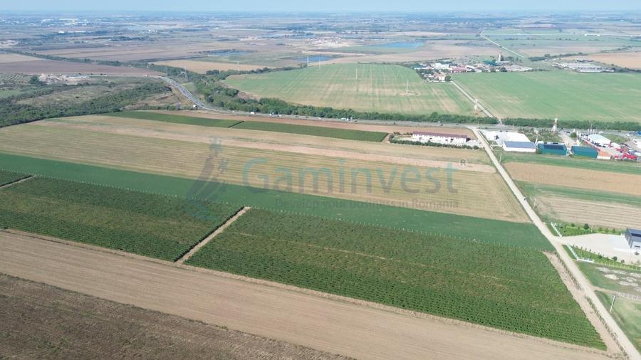 Teren Construcții intravilan de 66400 mp, în Biharia