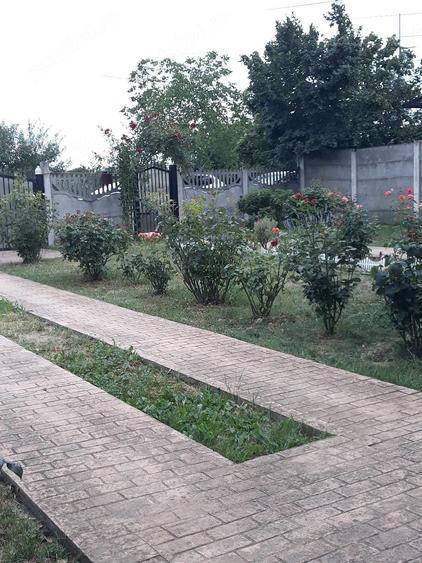 Casă cu Teren 1600 Mp în Mintia