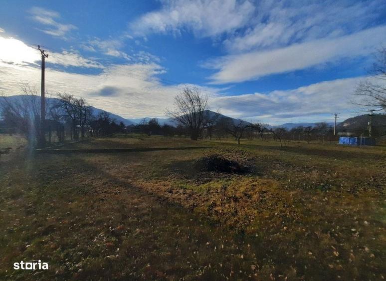 Casă cu 4 camere cu Teren 5500 Mp în Central