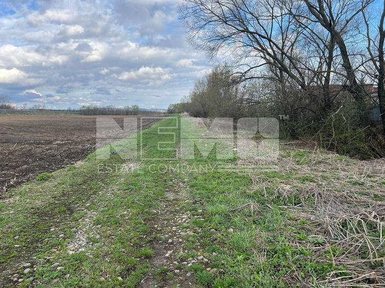 Teren Construcții extravilan de 4800 mp, în Exterior Vest