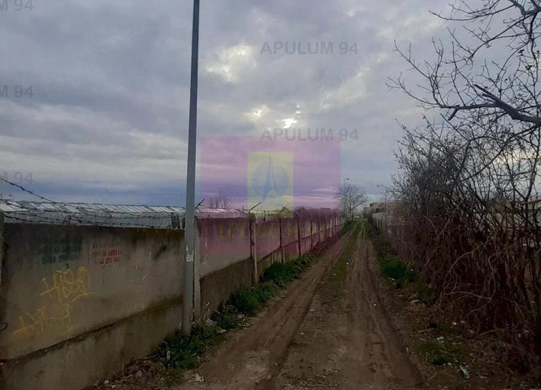 Teren de 1055 mp, în Berceni