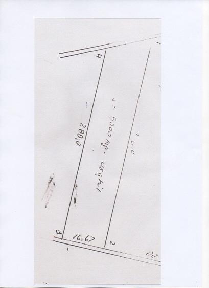 Teren agricol extravilan de 5000 mp, în Exterior Vest