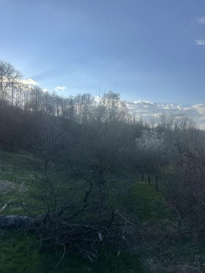 Teren de 2800 mp, în Văleni-Dâmbovița