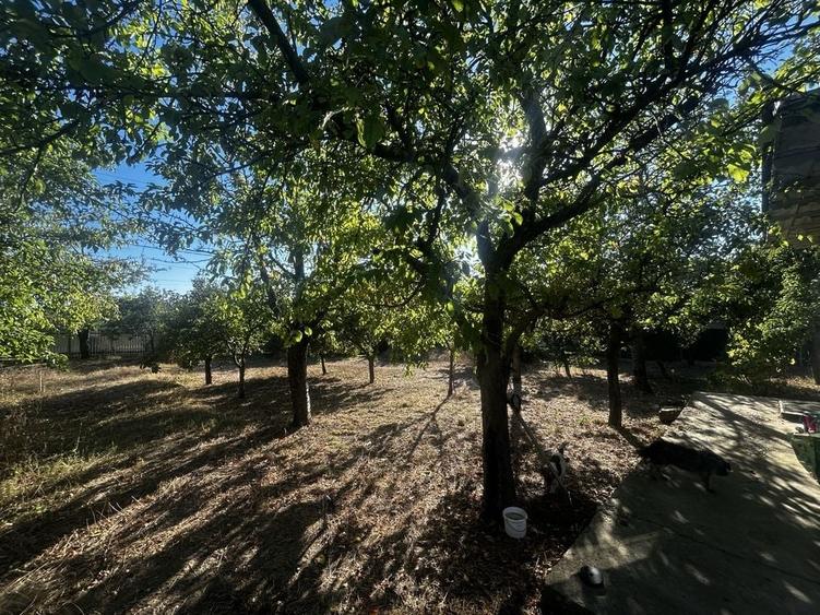 Casă cu 2 camere în Cuca