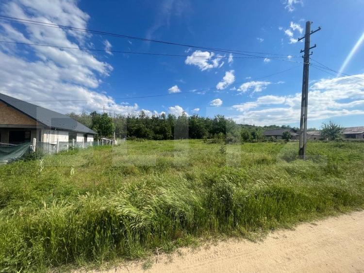 Teren Construcții intravilan de 800 mp, în Leamna de Sus