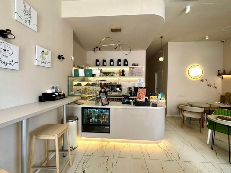 Spațiu comercial, de 217.66000366211 mp, în Domenii