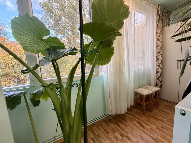 Apartament cu 3 camere semidecomandat, mobilat în Circumvalațiunii
