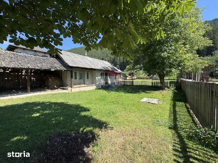 Casă cu 2 camere cu Teren 5417 Mp în Borca