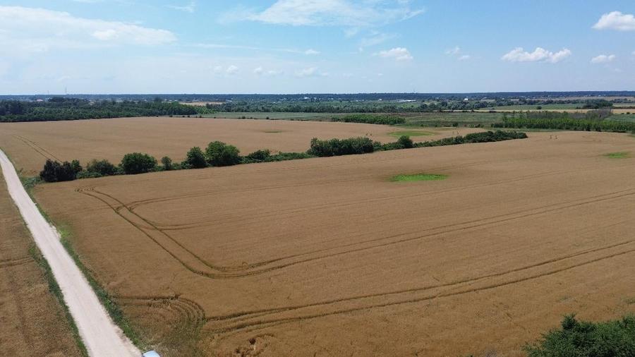 Teren agricol intravilan de 200000 mp, în Ciolpani