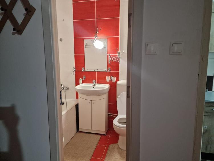 Apartament 1 camera de inchiriat - 6