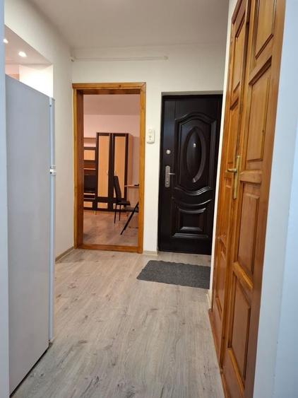 Inchiriez apartament 2 camere decomandat, 52 mp, complet utilat, renovat recent aproape de Lidl, Sfantu Gheorghe - 8