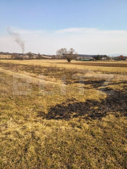 Teren agricol extravilan de 4000 mp, în Exterior Est