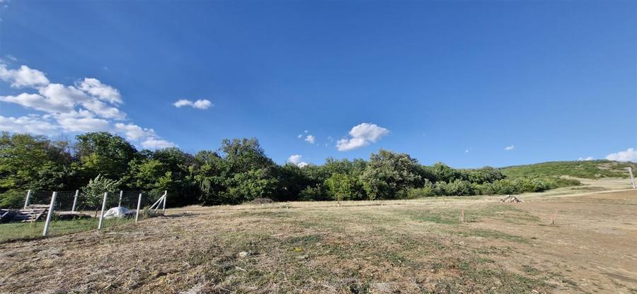 RECO Teren intravilan in Betfia, 1001 mp, front 18.30 ml la asfalt - 4