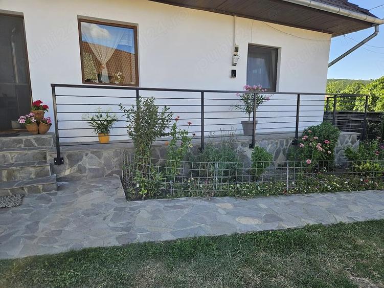 Casă cu Teren 3500 Mp în Zălan