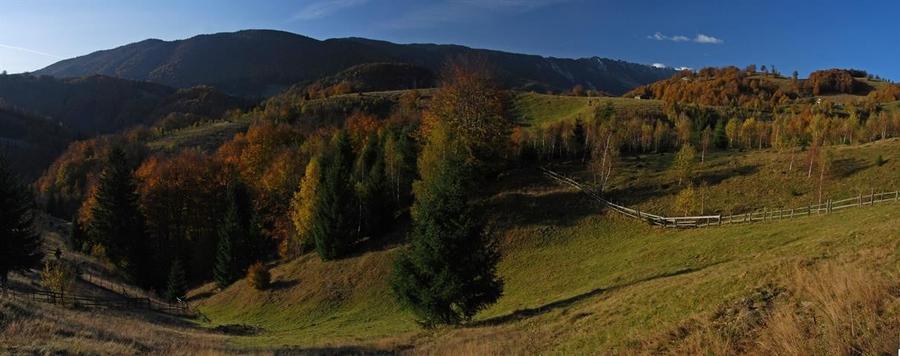 Teren Construcții extravilan de 12150 mp, în Dâmbovicioara