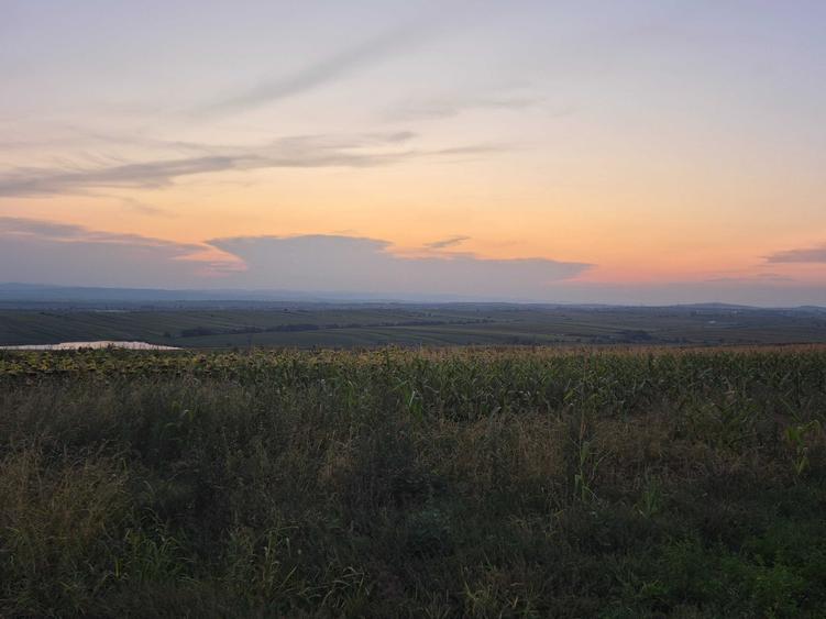 Teren de 3000 mp, în Bosanci
