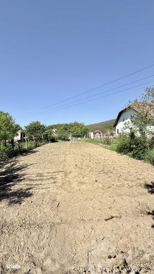 Casă cu 4 camere cu Teren 1668 Mp în Bujoreni
