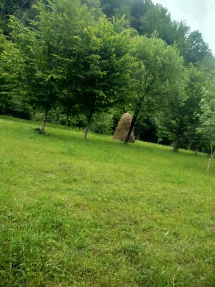Teren de 3000 mp, în Cazaci