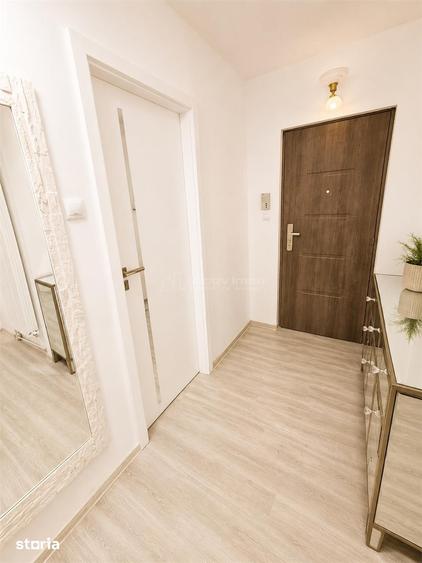 Apartament de inchiriat 3 camere Terezian - 11