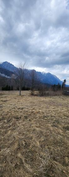 Teren Construcții intravilan de 622 mp, în Cumpătu