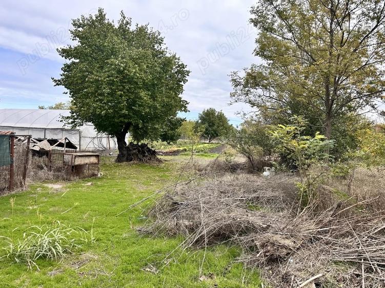 Casă cu 3 camere cu Teren 1065 Mp în Cuza Vodă