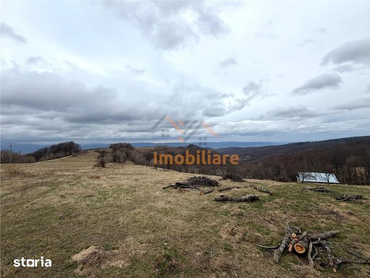 Teren de 34000 mp, în Borod