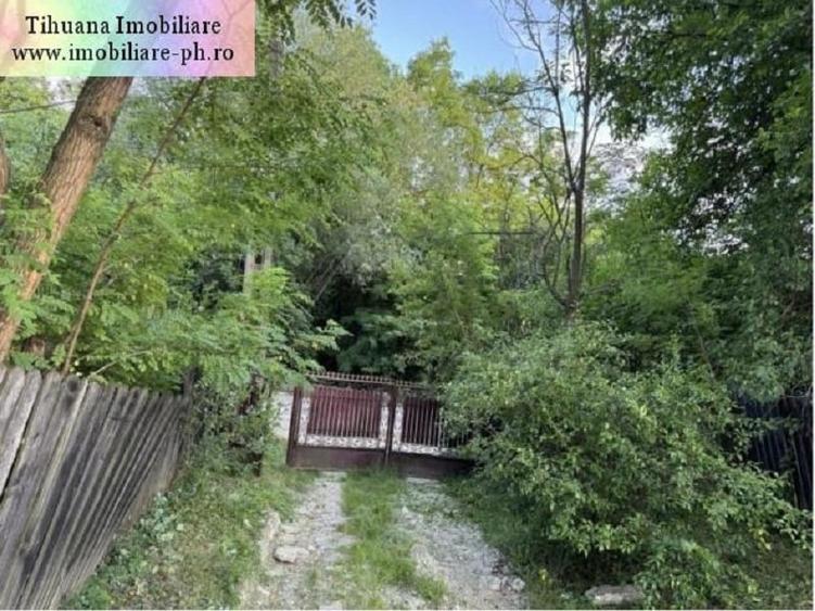 Casă individuală cu 4 camere cu Teren 3100 Mp în Ariceștii Zeletin