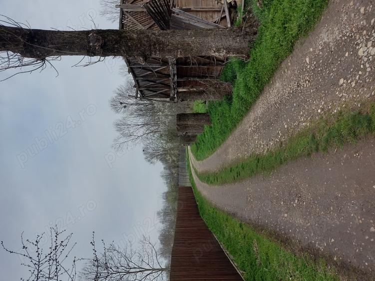 Teren de 2137 mp, în Șerbănești (Rociu)