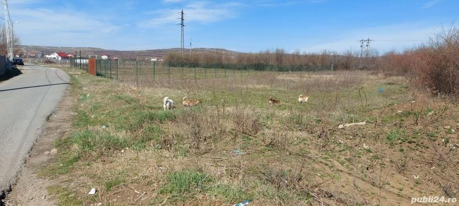Teren în Valea Călugărească