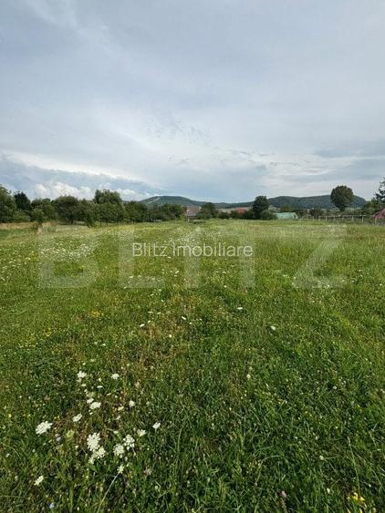 Teren Intravilan UNIREA 972mp