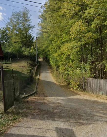 Teren de 1500 mp, în Ariceștii Zeletin