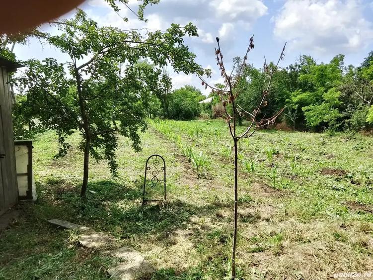Casă cu 3 camere cu Teren 1400 Mp în Tudor Vladimirescu