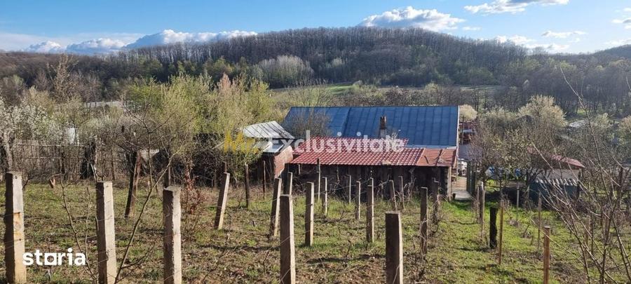 Casă cu 3 camere cu Teren 1558 Mp în Dănești