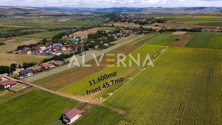 Teren Construcții intravilan de 11600 mp, în Jucu de Sus