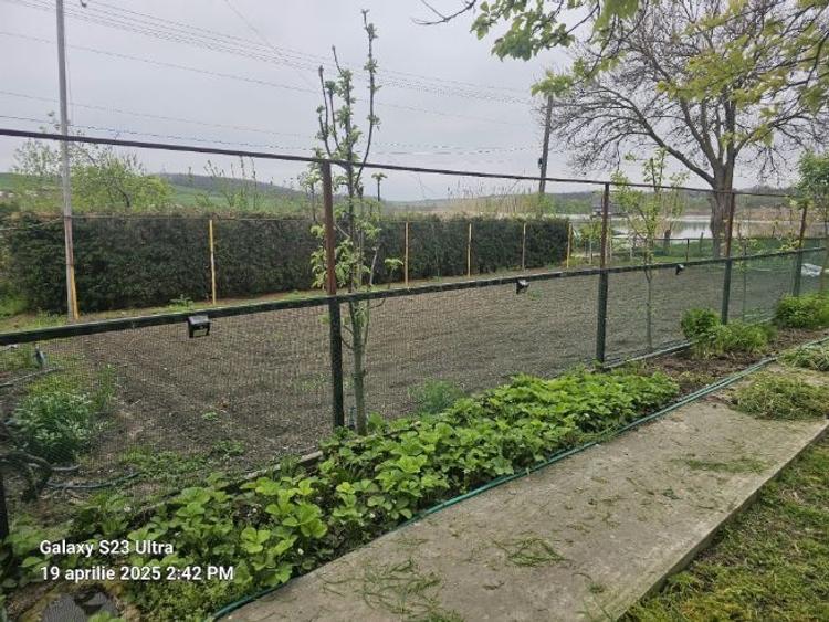 Refugiul tău verde în inima naturii, colt de rai- Agent exclusiv comision 0 - 4