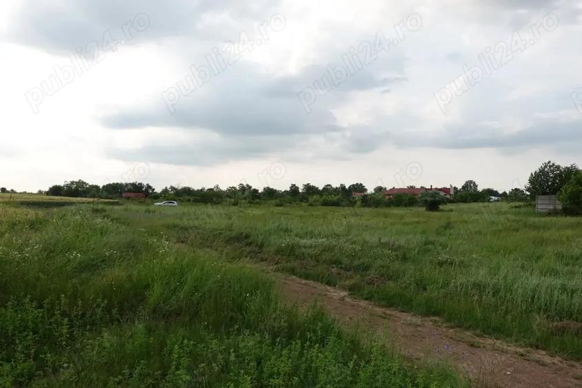 Teren de 10100 mp, în Tâncăbești
